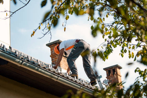 Roof Gutter Cleaning in Badger, AK