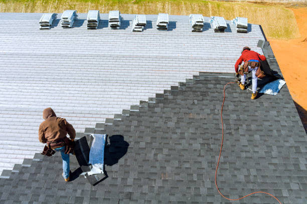 Best Roof Gutter Cleaning  in Badger, AK