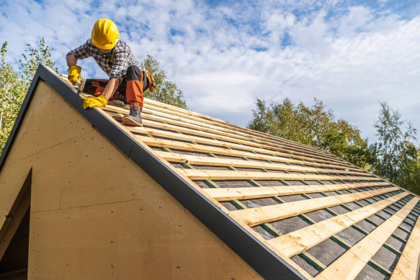 Best Storm Damage Roof Repair  in Badger, AK