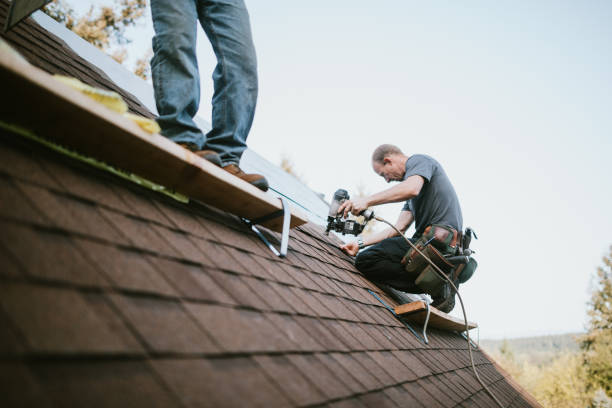 Professional Roofing Contractor in Badger, AK