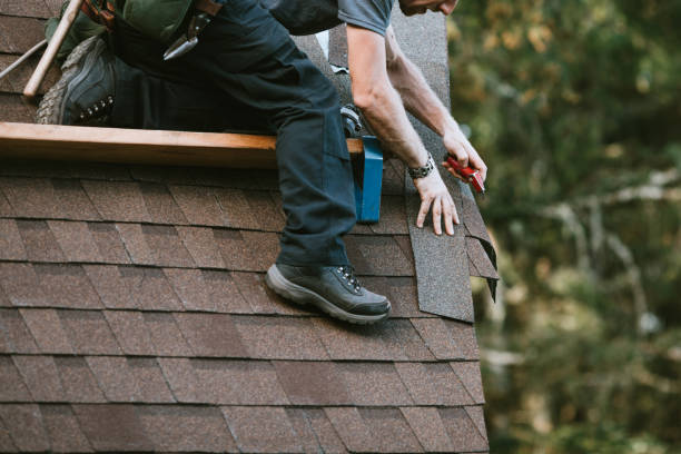 Best Emergency Roof Repair  in Badger, AK