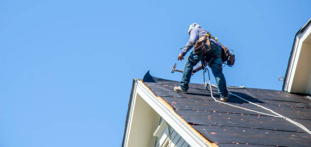 Best Roof Waterproofing Services  in Badger, AK